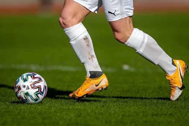 也反映了巴 也反映了巴