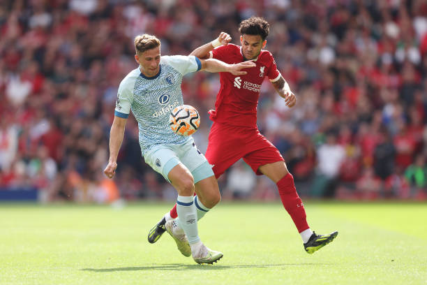 球队的新援 球队的新援